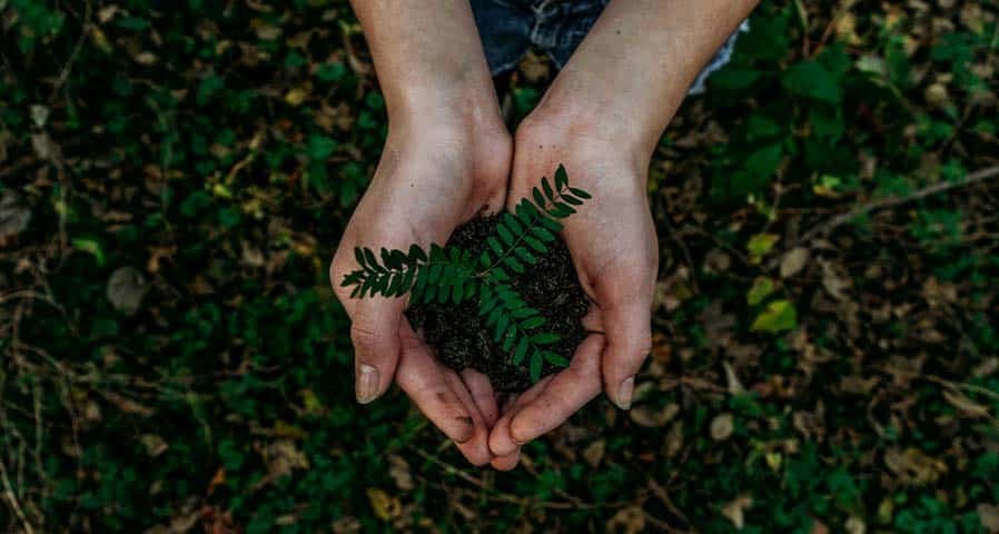Sustainable Practices