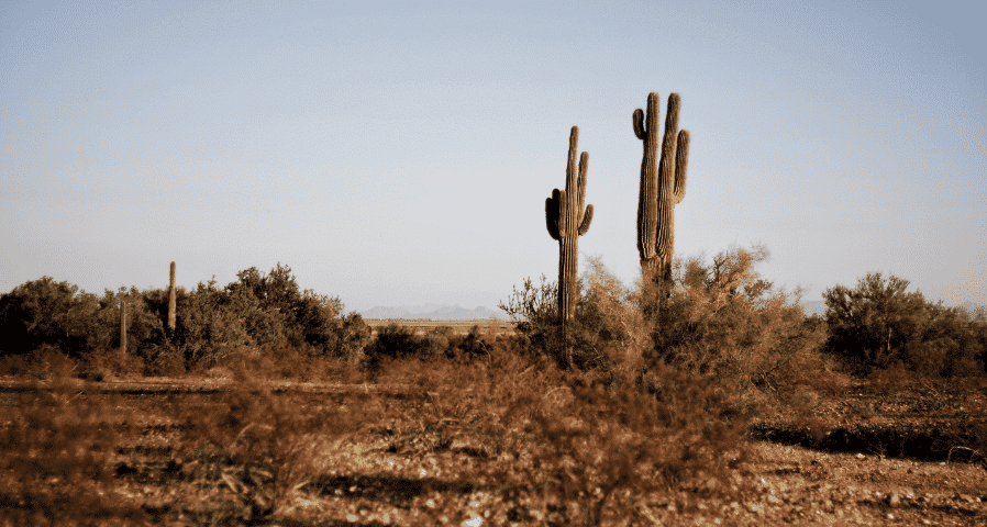 Commercial Rebates in the Southwest